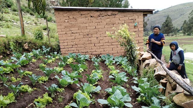 BOLIVIA_HUERTOS FAMILIARES1.jpg